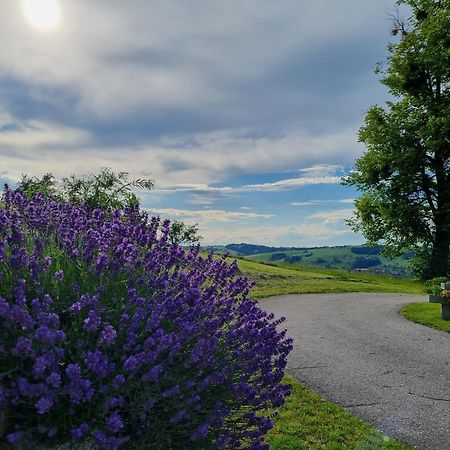 Apartamento Unterbrandlberg Steinbach an der Steyr Exterior foto