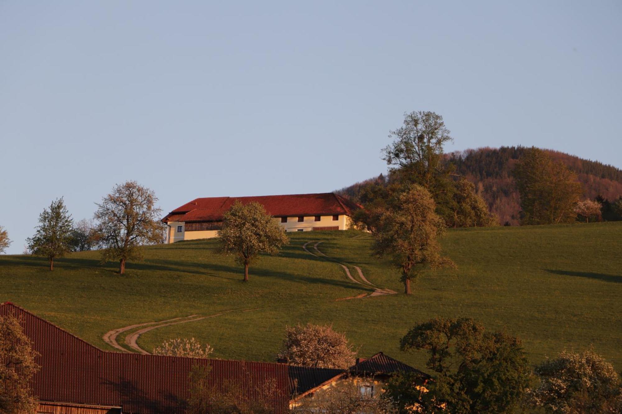 Apartamento Unterbrandlberg Steinbach an der Steyr Exterior foto